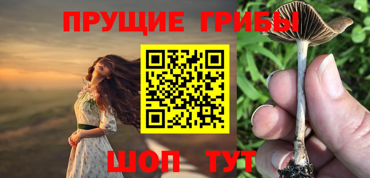 Галлюциногенные грибы прущие грибы  наркошоп  Галлюциногенные грибы Magic Shrooms  Чернушка  Вход с VPN 